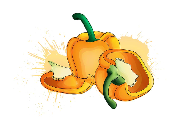 Bell pepper print