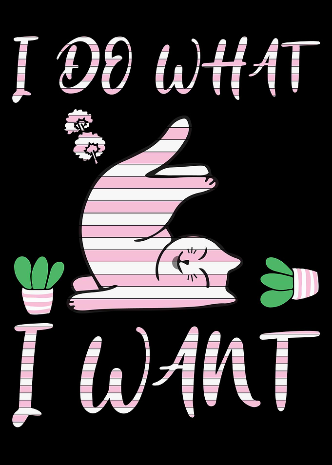 FARTING CAT I DO WHAT I