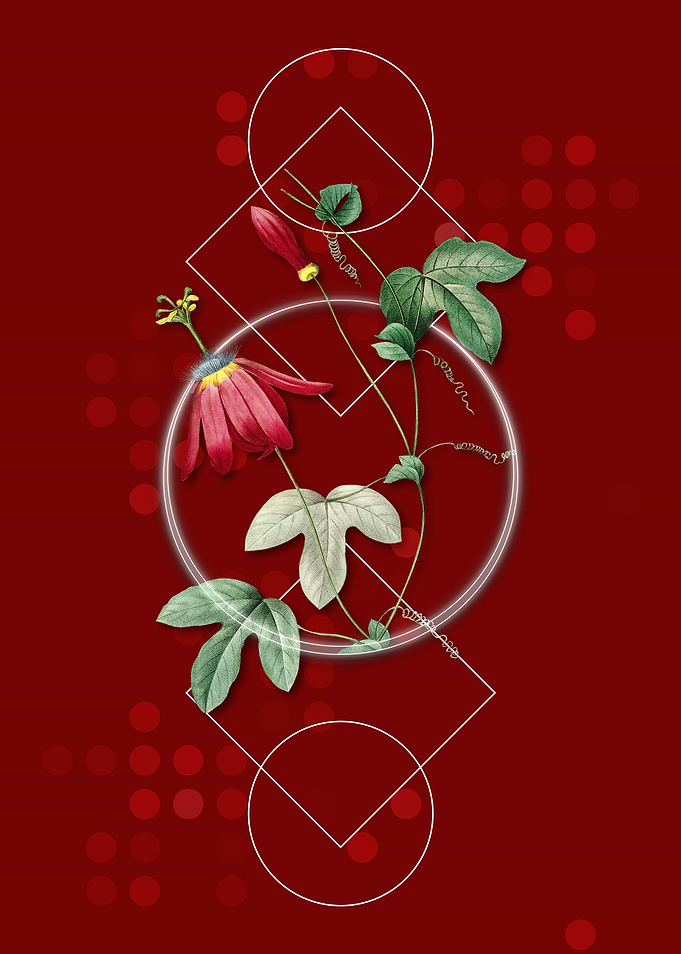 Vintage Red Passion Flower