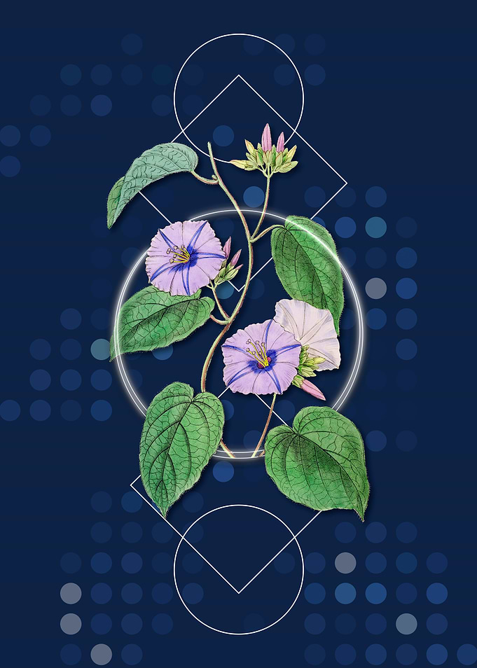Geometric Art Deco Flower