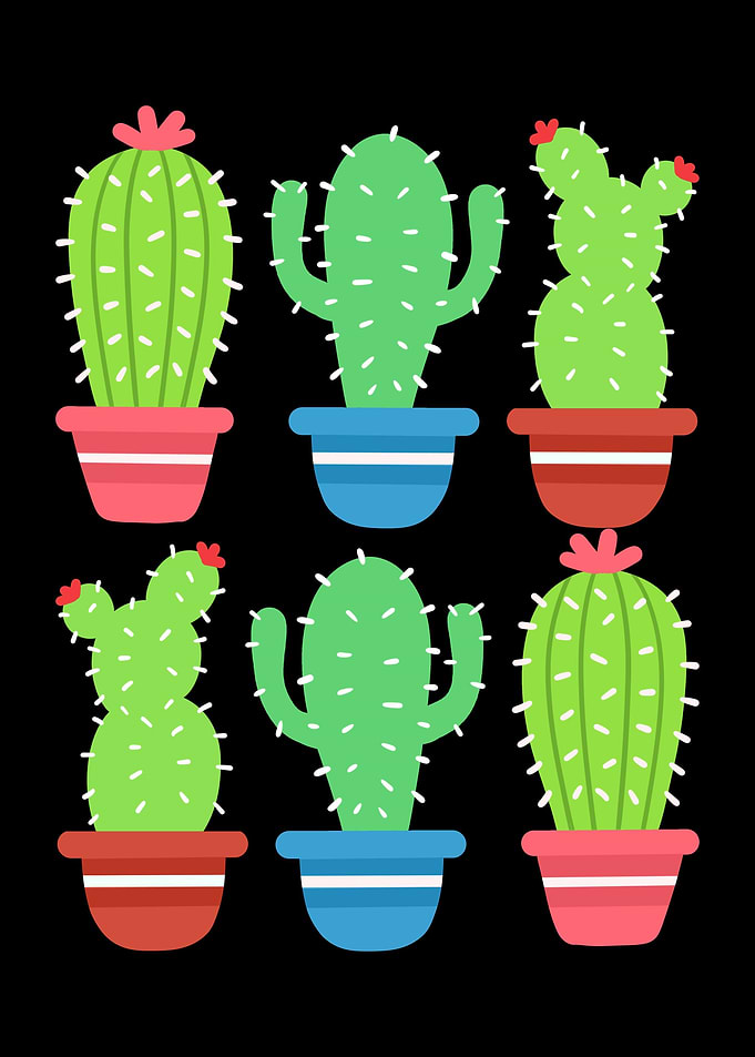 Cactus Plants Gardening
