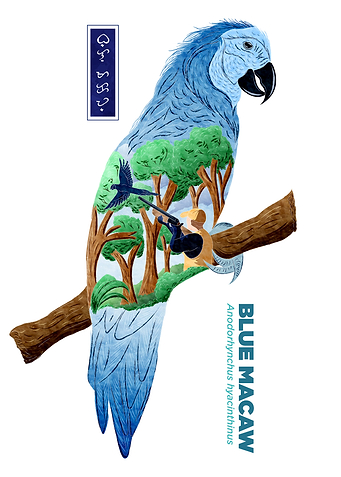 The Last Blue Macaw White