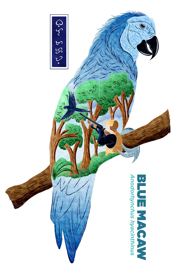 The Last Blue Macaw White