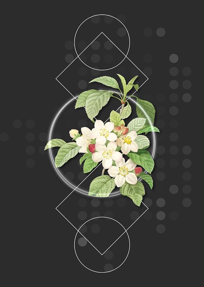 Vintage Apple Blossom