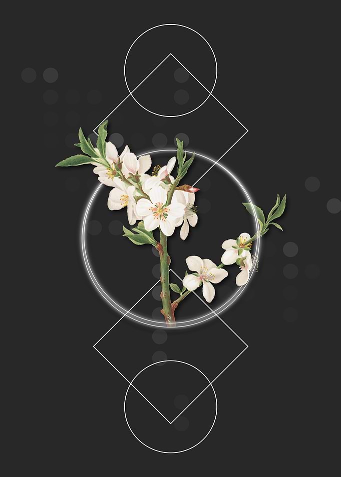 Geometric Almond Flower