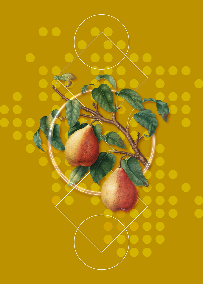 Vintage Wild European Pear
