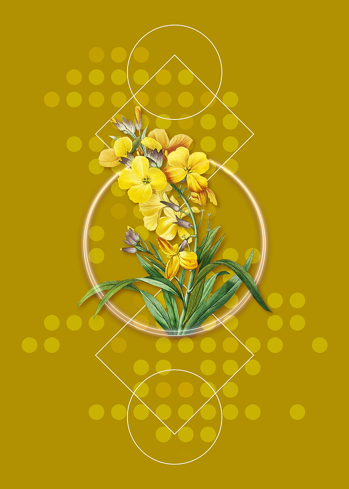 Vintage Cheiranthus Flower