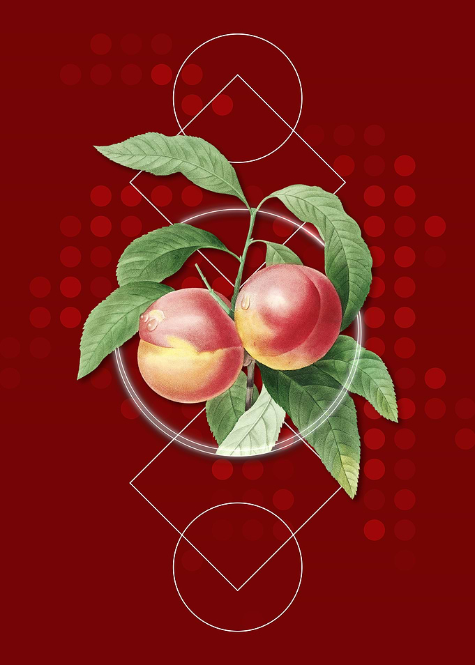 Vintage Peach Fruit Poster
