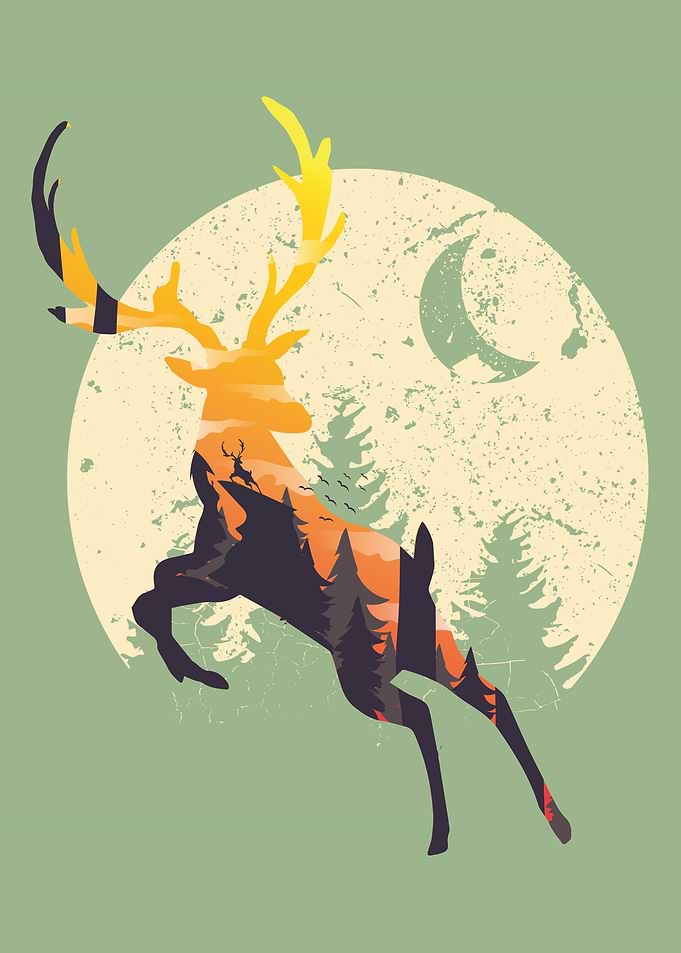 Deer And Forest