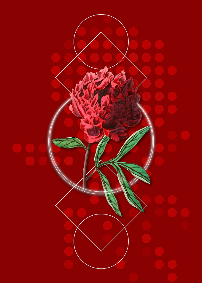 Geometric Chinese Peony