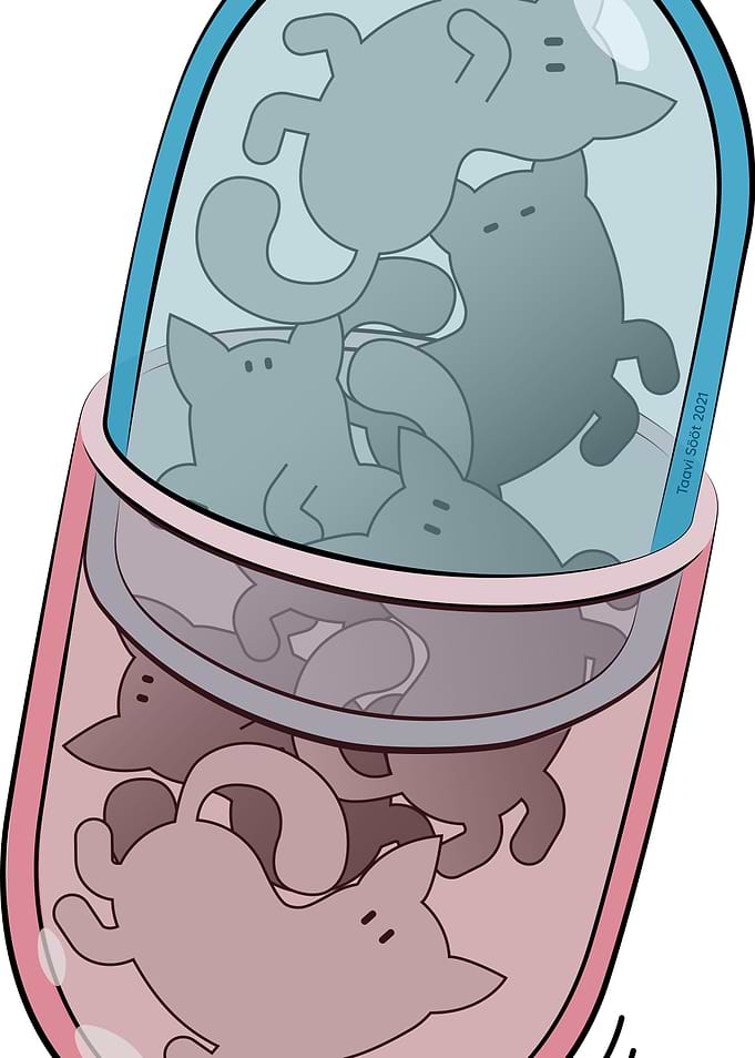 Cat pill