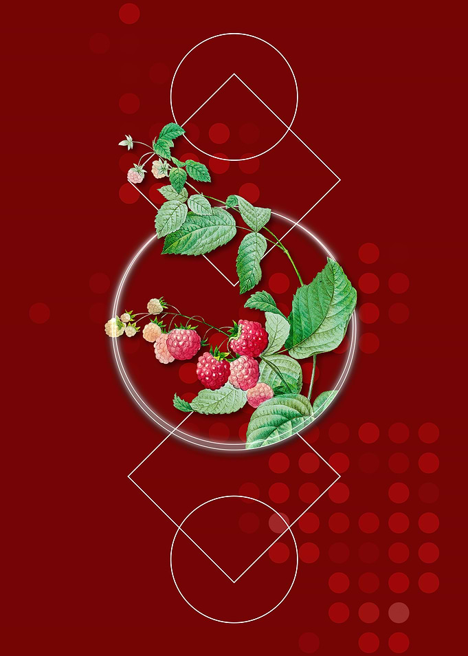 Vintage Red Berries Fruits