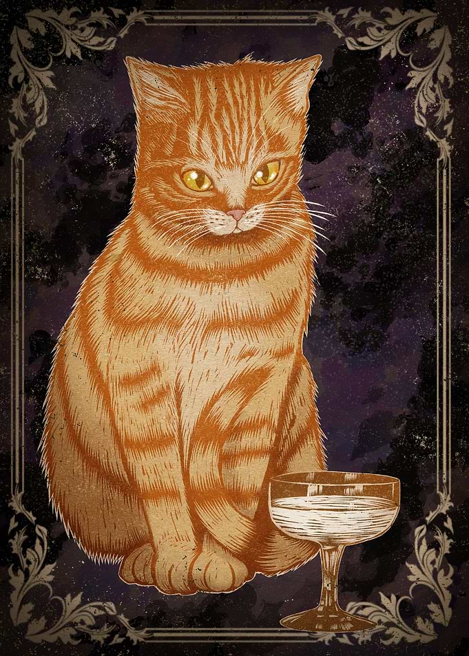 Orange Tabby