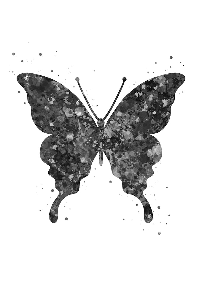 Butterfly cute
