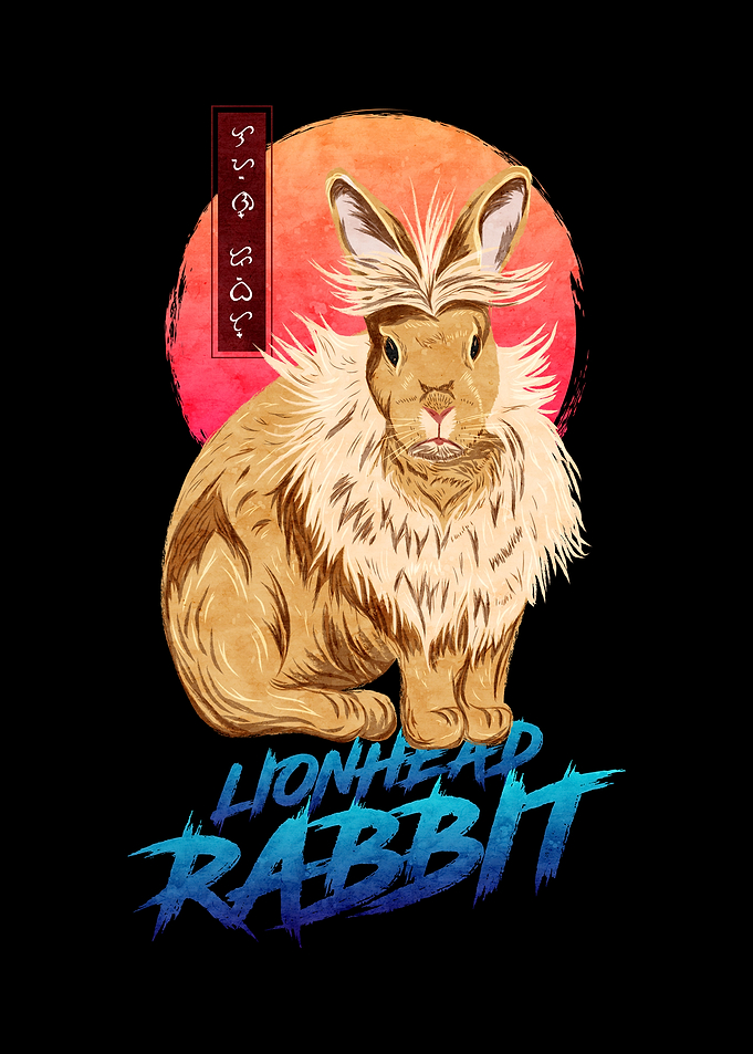 Lionhead Rabbit Black