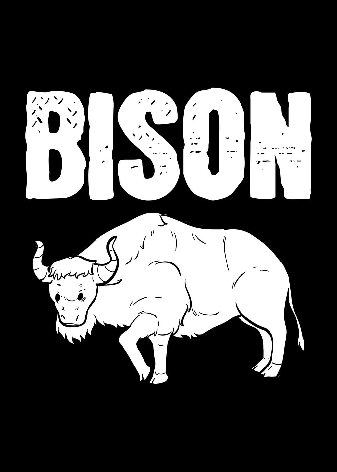 American Buffalo