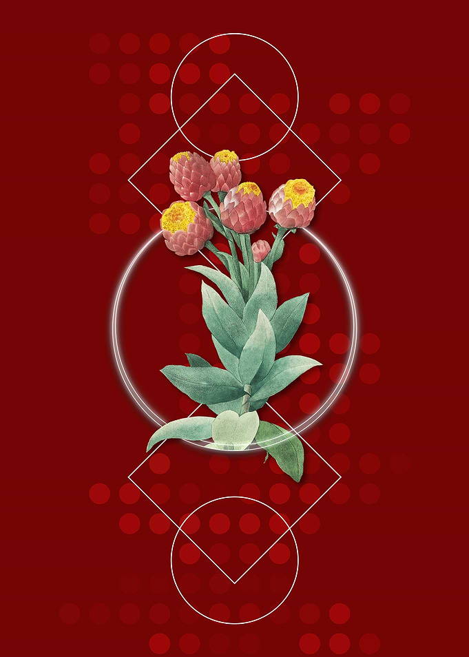 Geometric Vintage Cudweeds