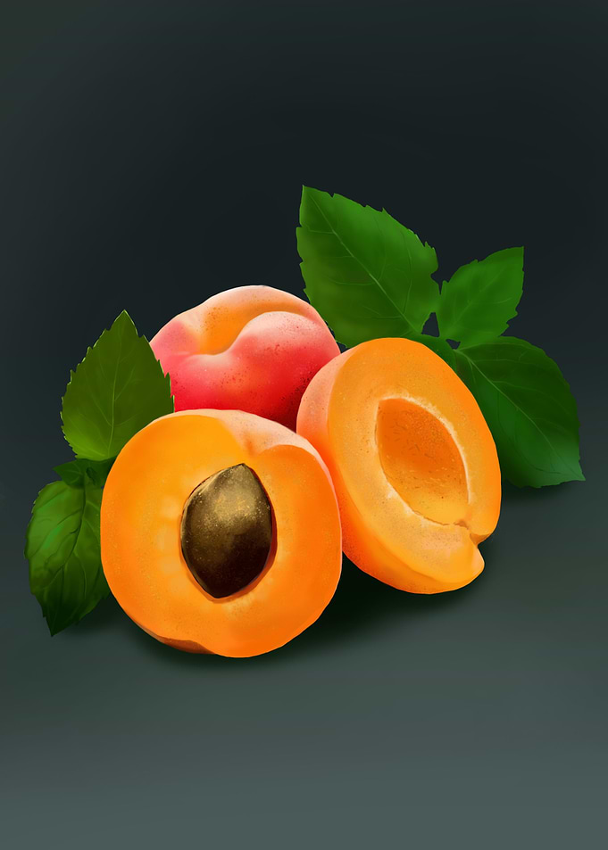 Peach and apricots fruits