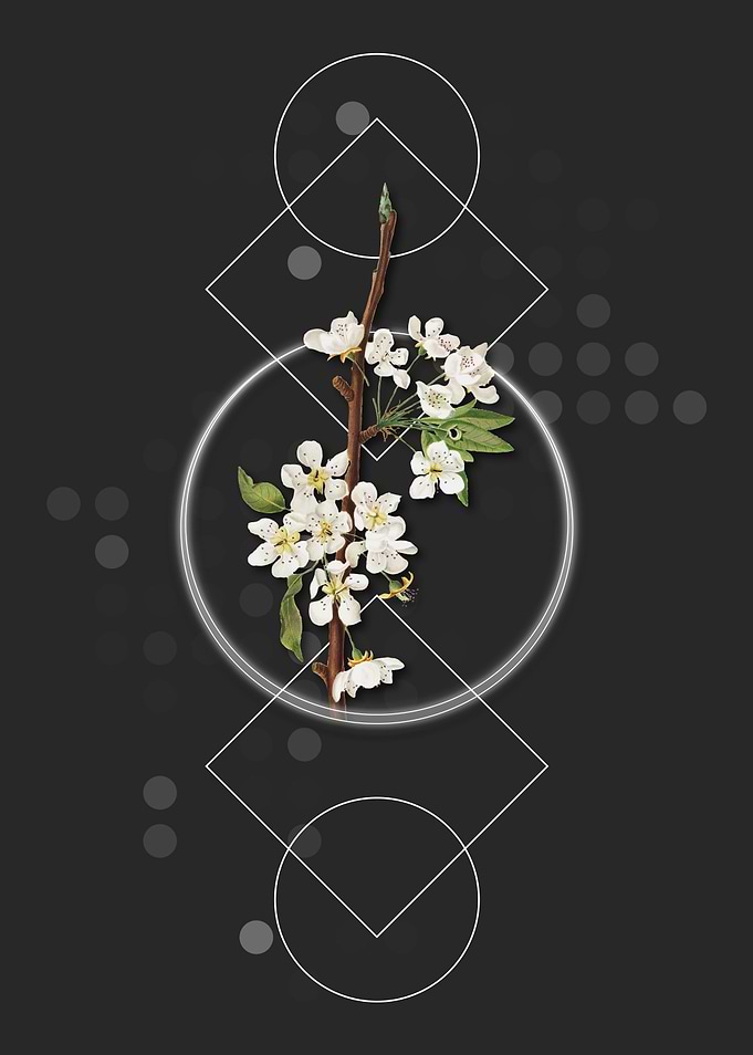 Geometric Musky Pear Fruit