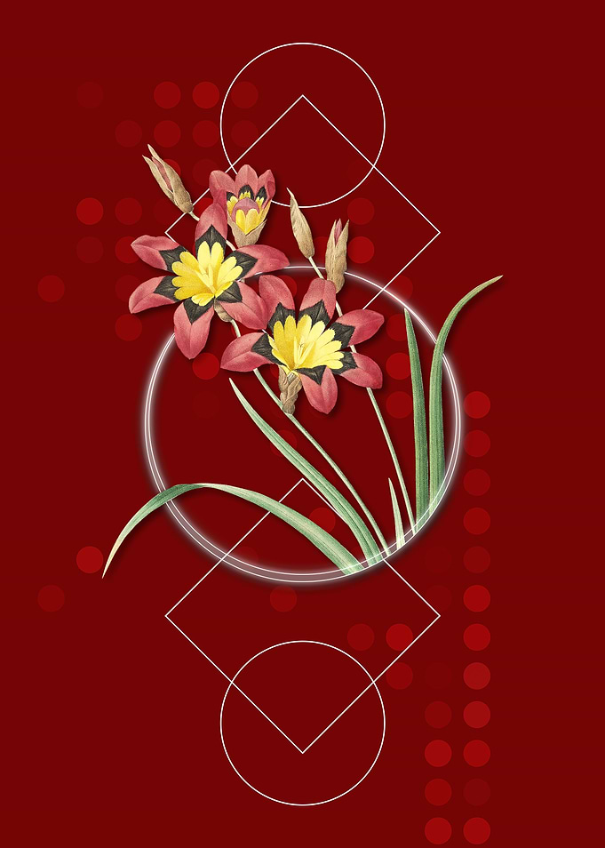 Vintage Ixia Tricolore