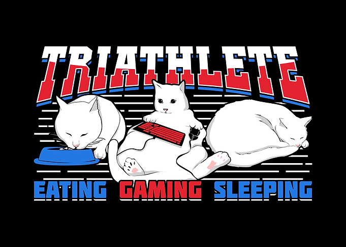 Funny Gaming Cat Design