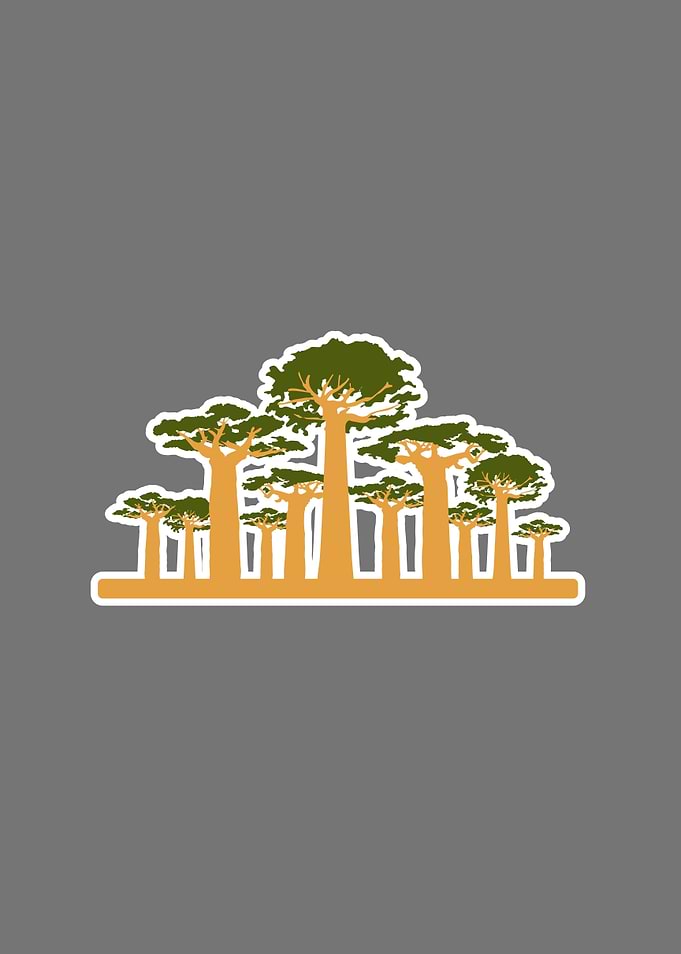 Baobab trees minimal