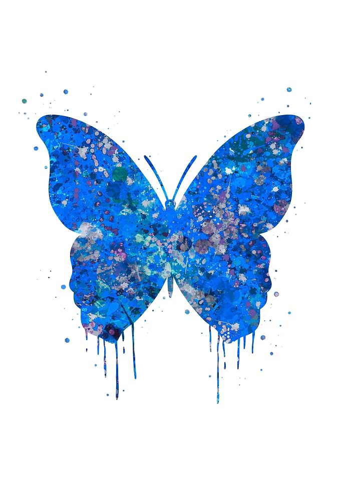 Blue Butterfly