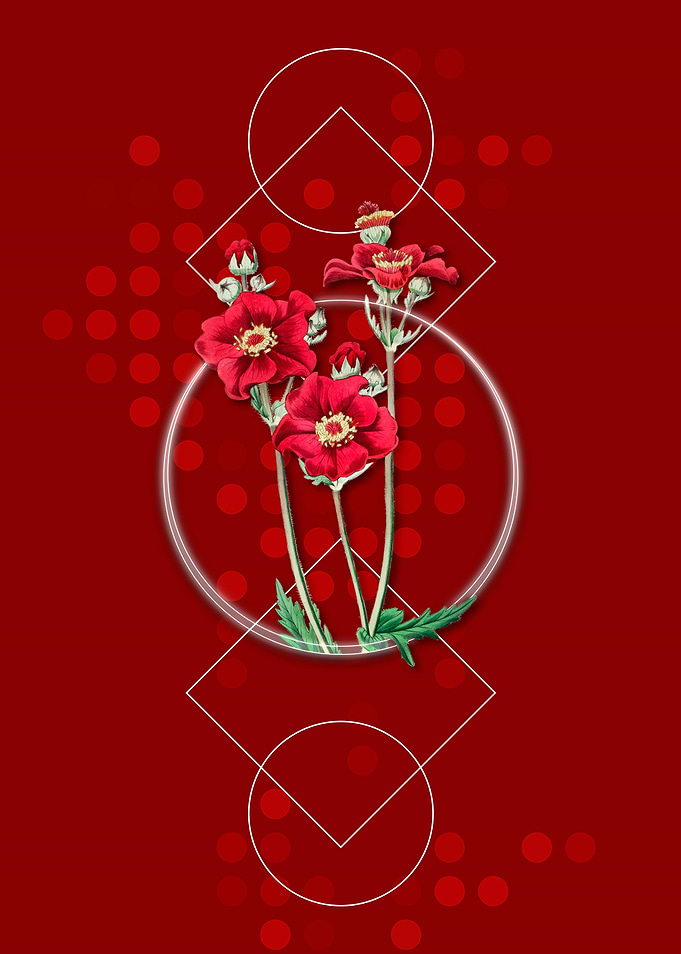 Geometric Chilian Guem