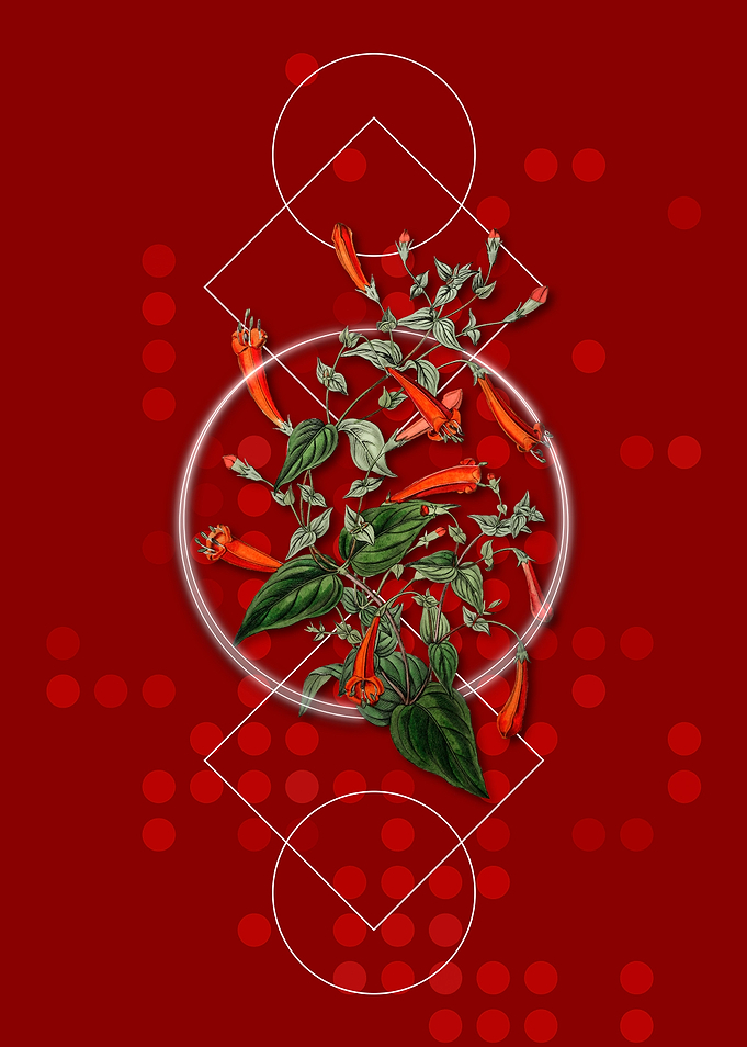 Geometric Heart Leaved