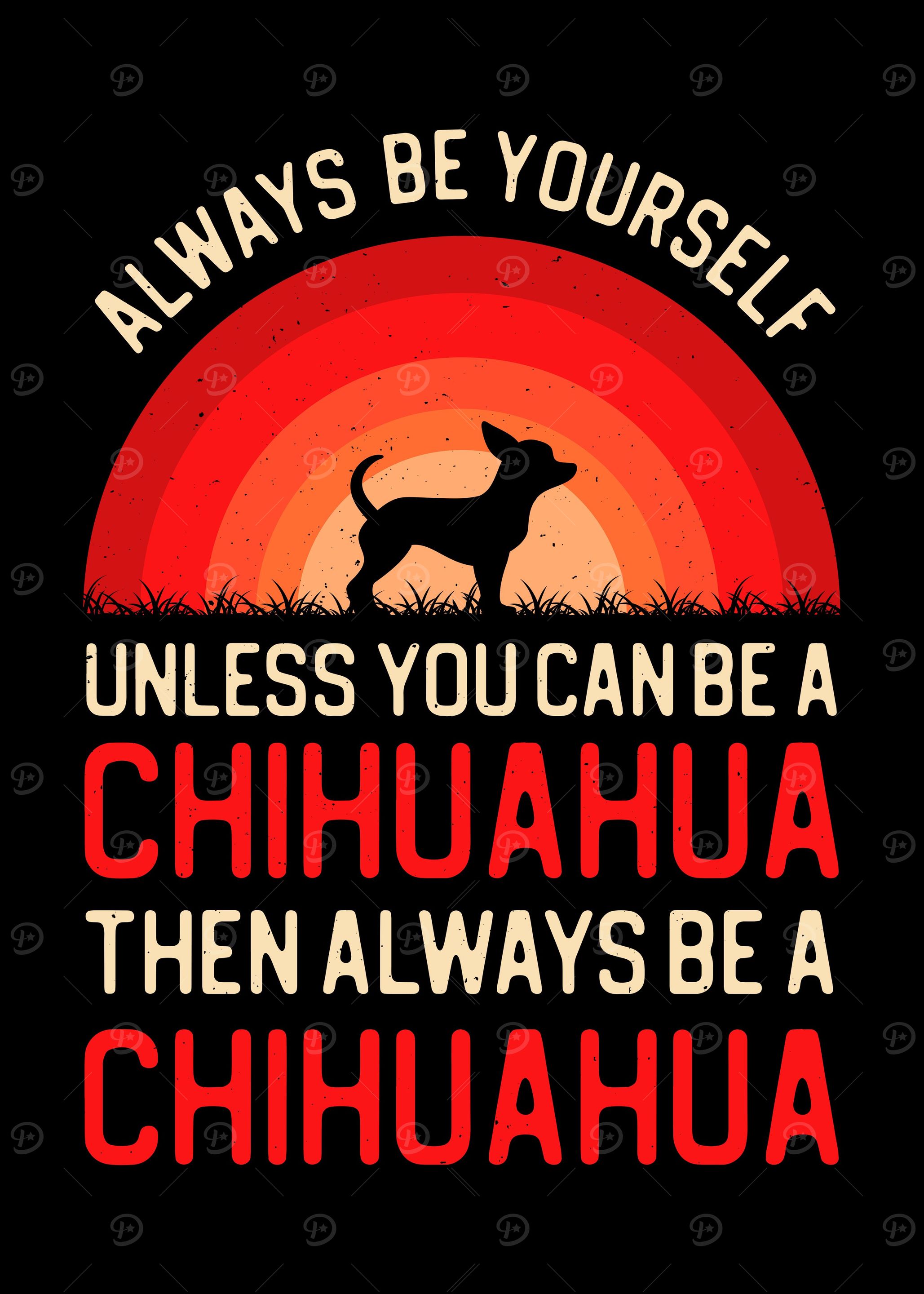 Funny Chihuahua