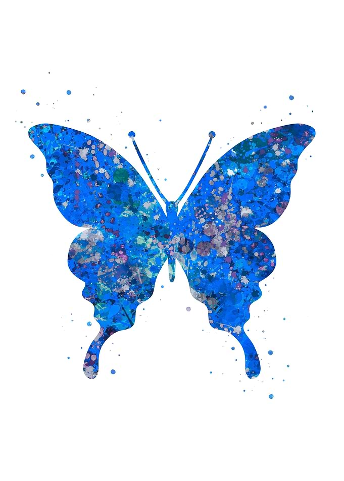 Butterfly blue