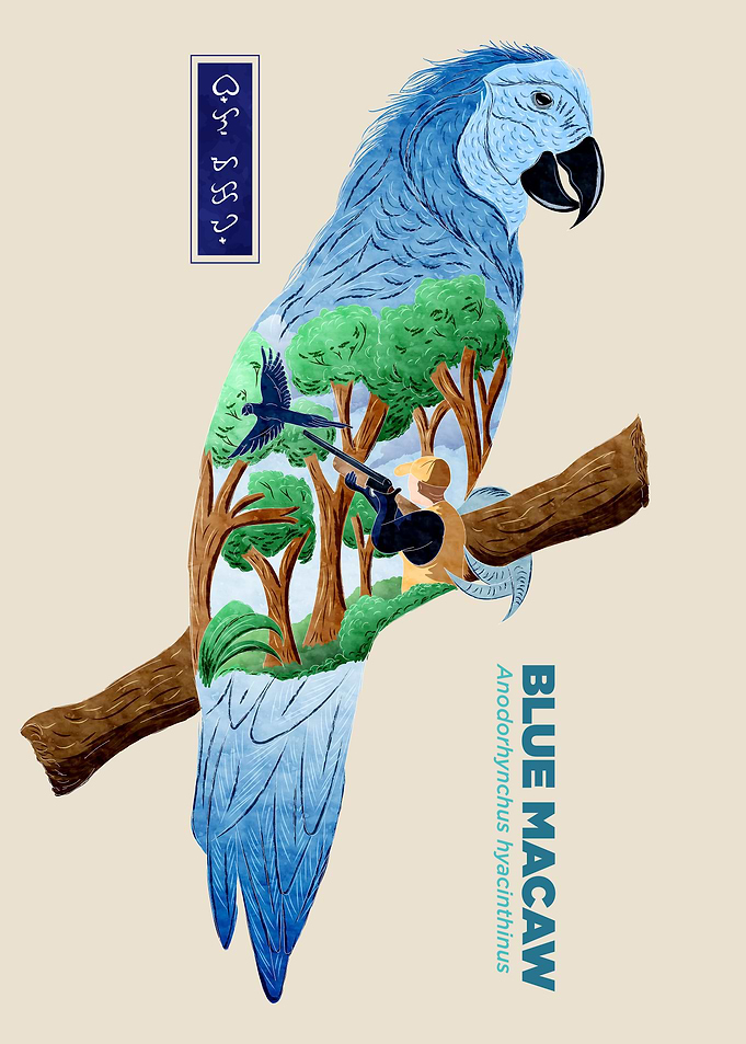 The Last Blue Macaw Creme