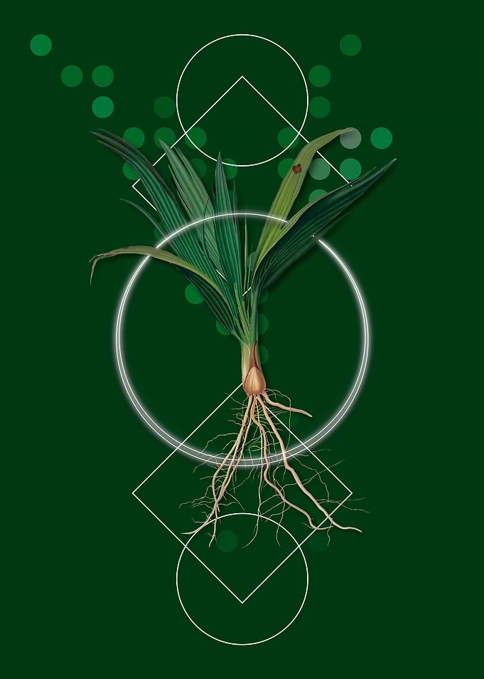 Geometric Date Palm Tree