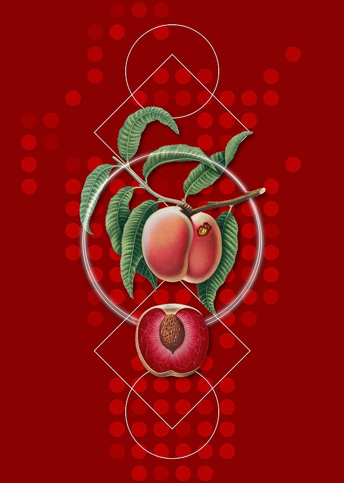 Geometric Carrot Peach