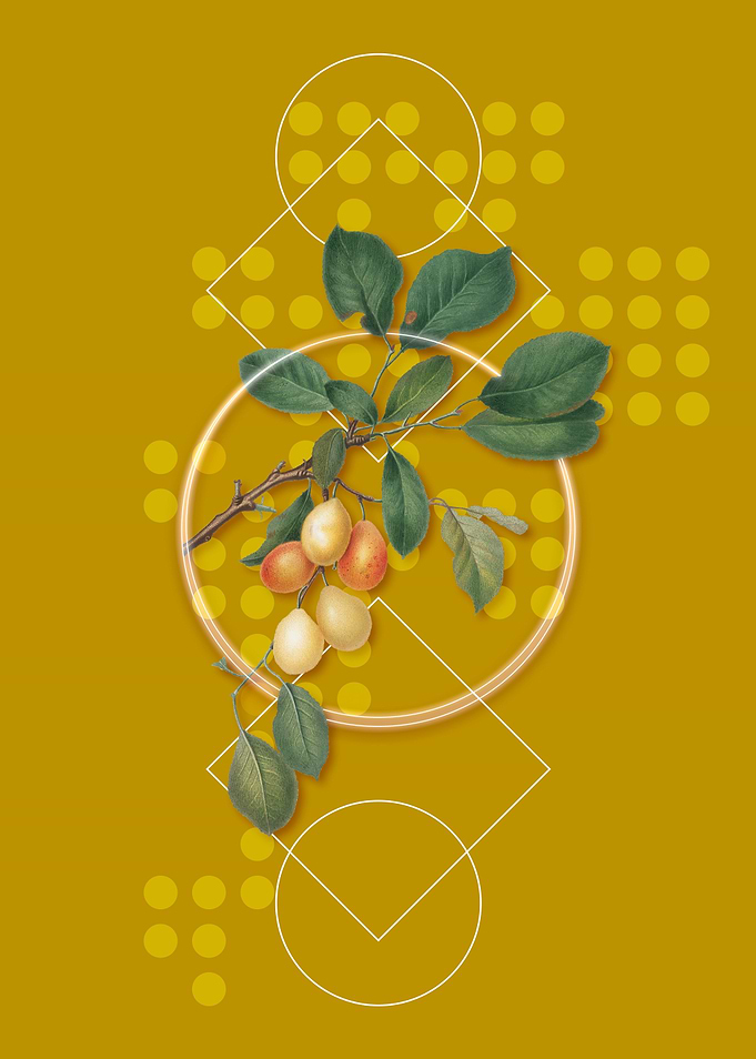 Geometric Cherry Fruit