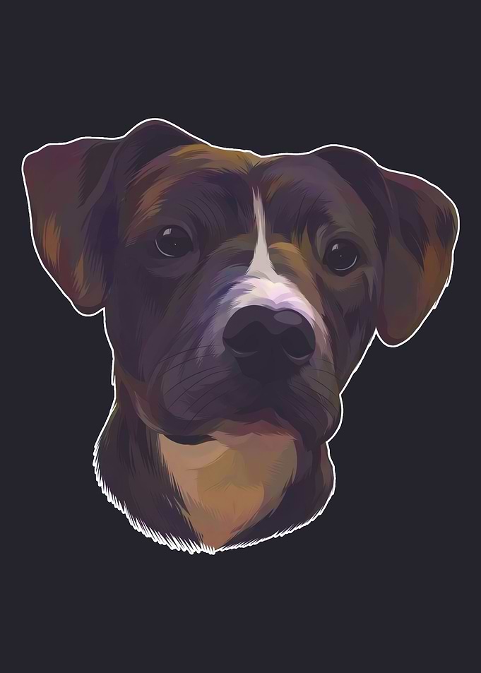 Black Dog
