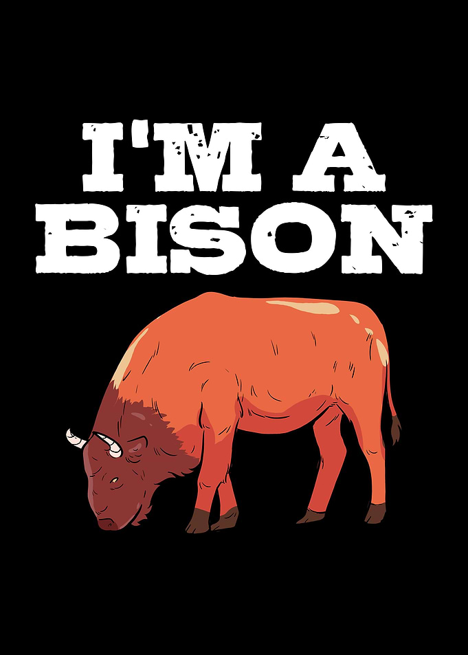 American Bison