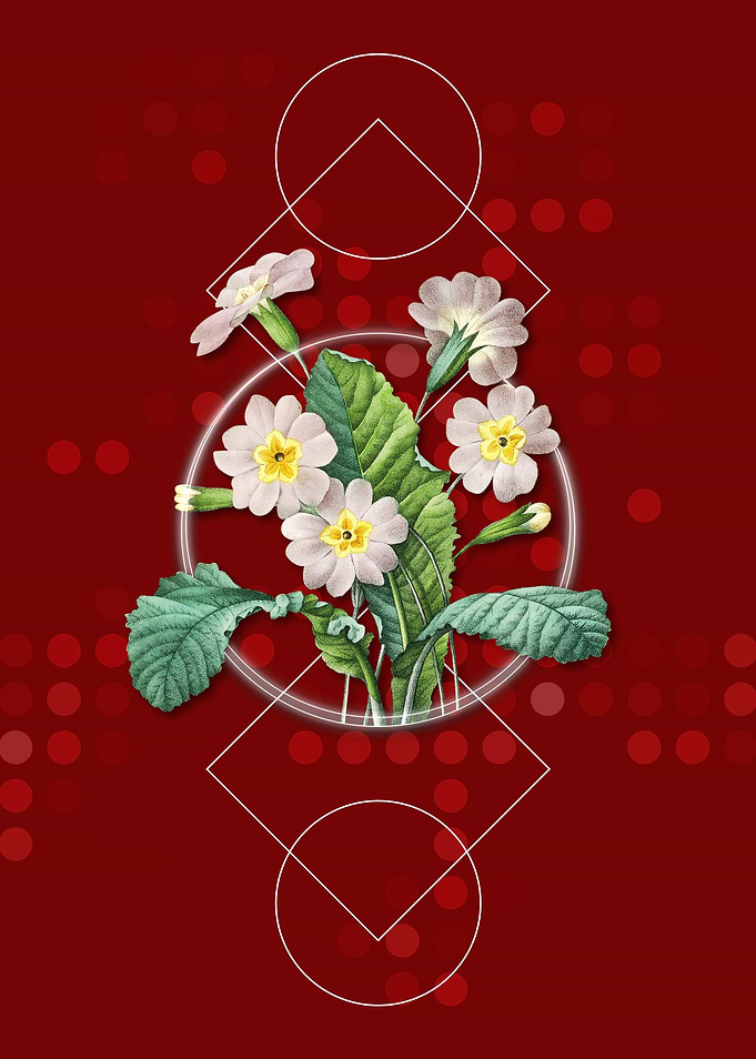 Vintage Grandiflora Poster