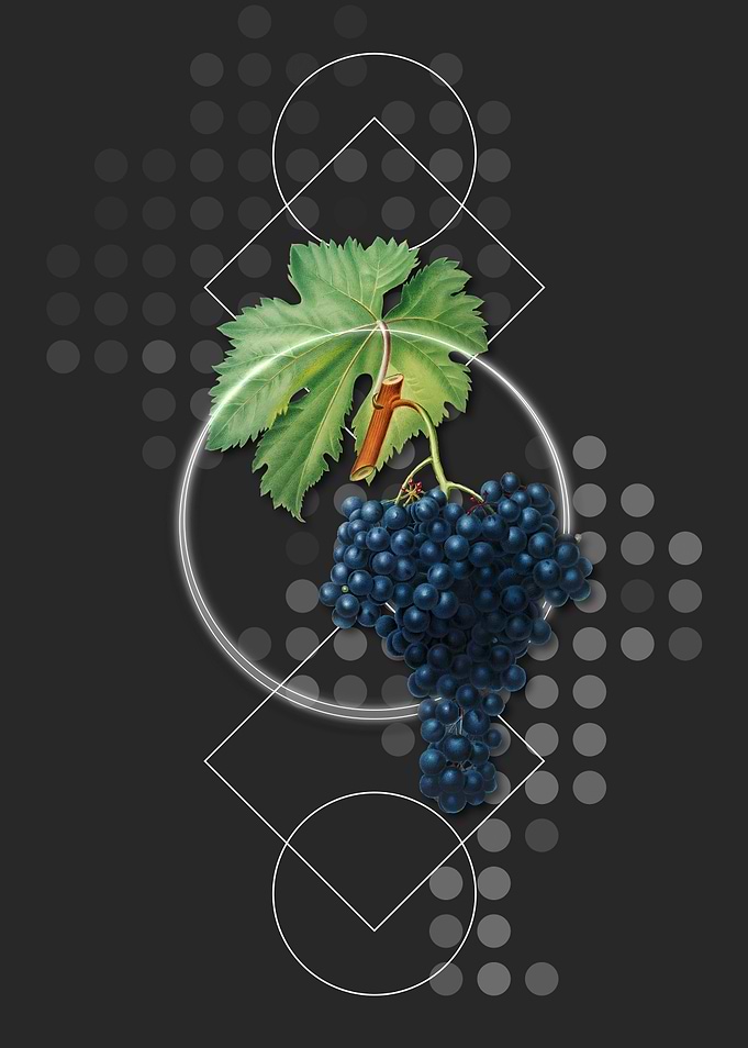 Geometric Fuella Grapes