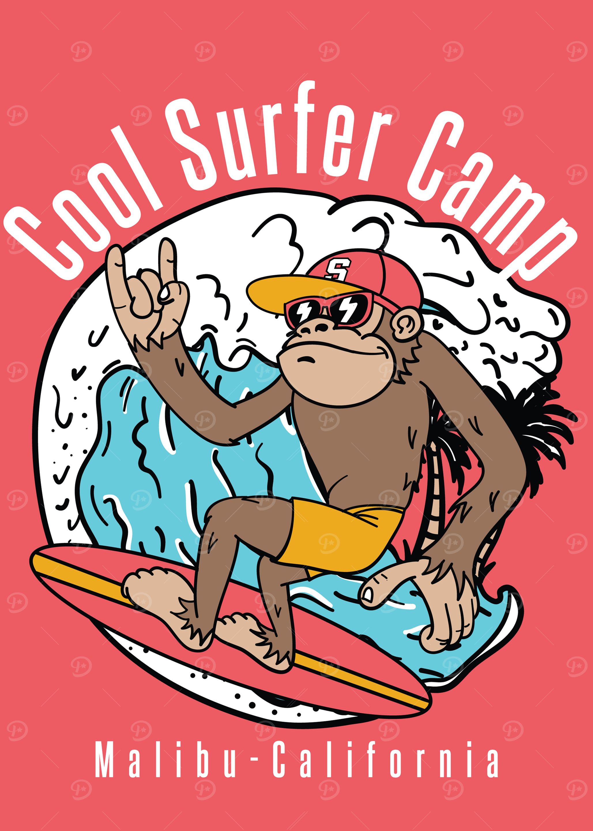 Cool surfer camp