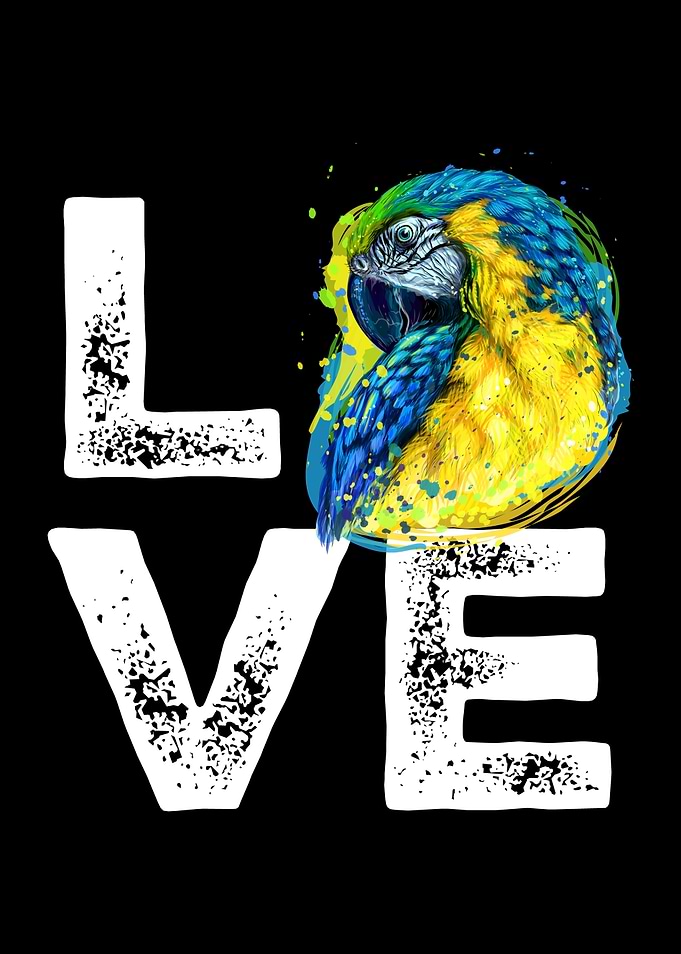 Parrot Love Kids