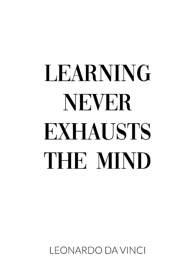 Leonardo Da Vinci Quote