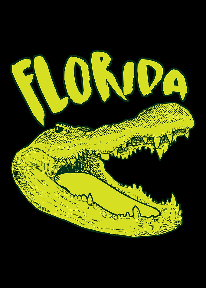 Gator Alligator Crocodile
