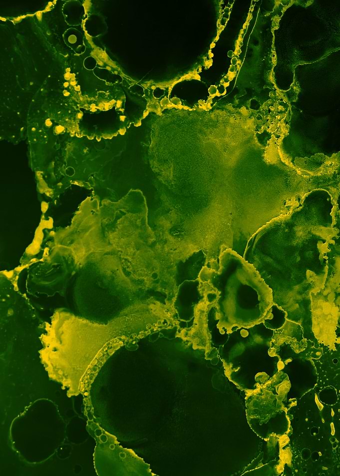 Green acrilyc swamp