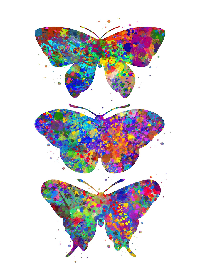 Butterfly