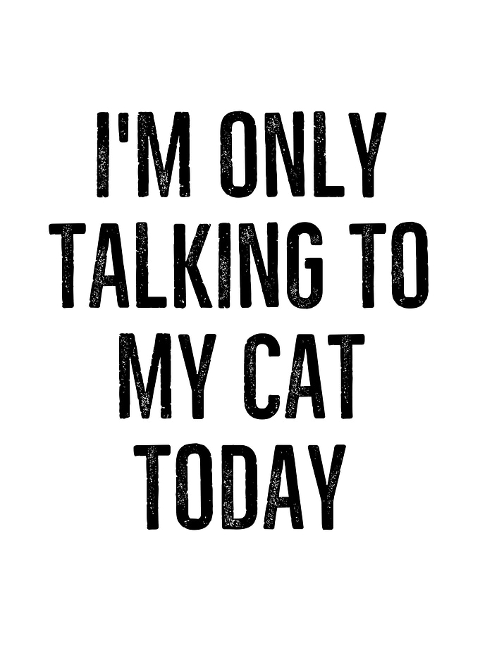 Im Only Talking To My Cat