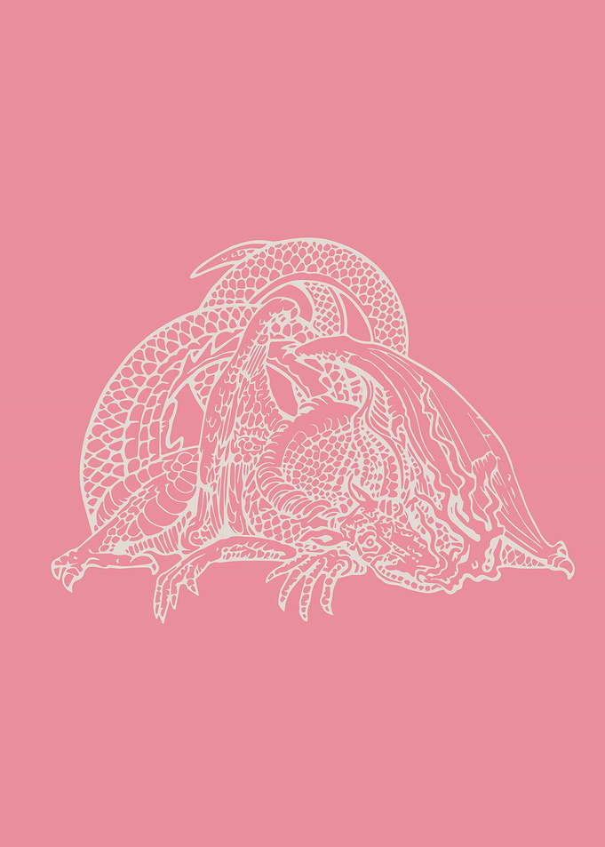 Twenty One Pilots Pink