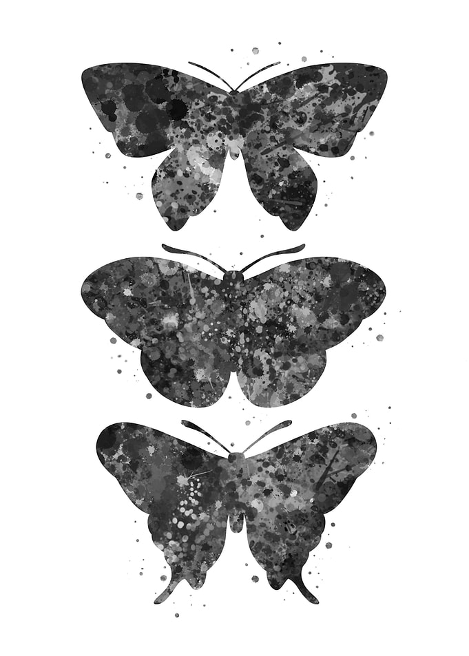 Butterfly set