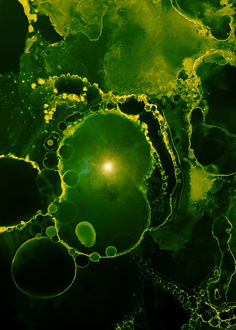 Space swamp