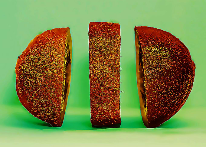 kiwi poster